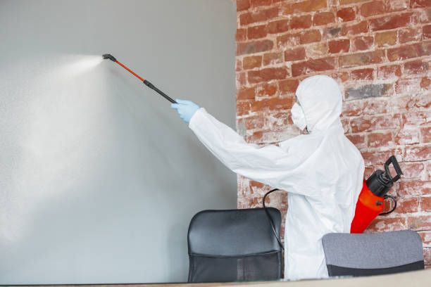 Mold Removal for HVAC Installations in Cumings, TX