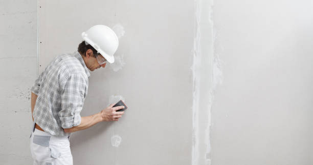 Best Mold Damage Restoration  in Cumings, TX
