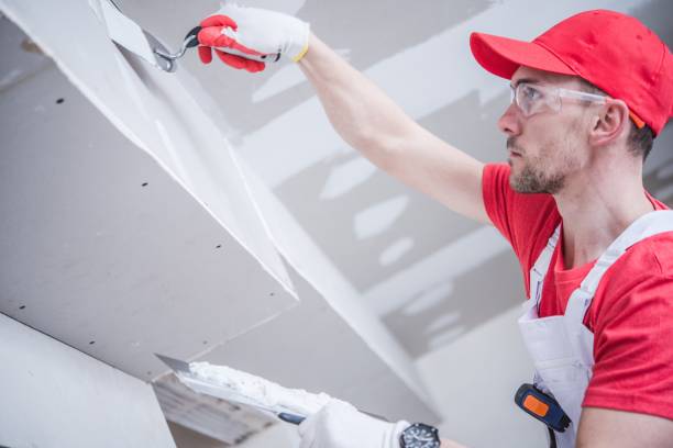 Best Mold Odor Removal Services  in Cumings, TX